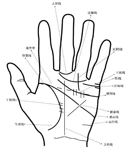 什么人没有生理缺陷,有什么身体不好又不是很严重的病
