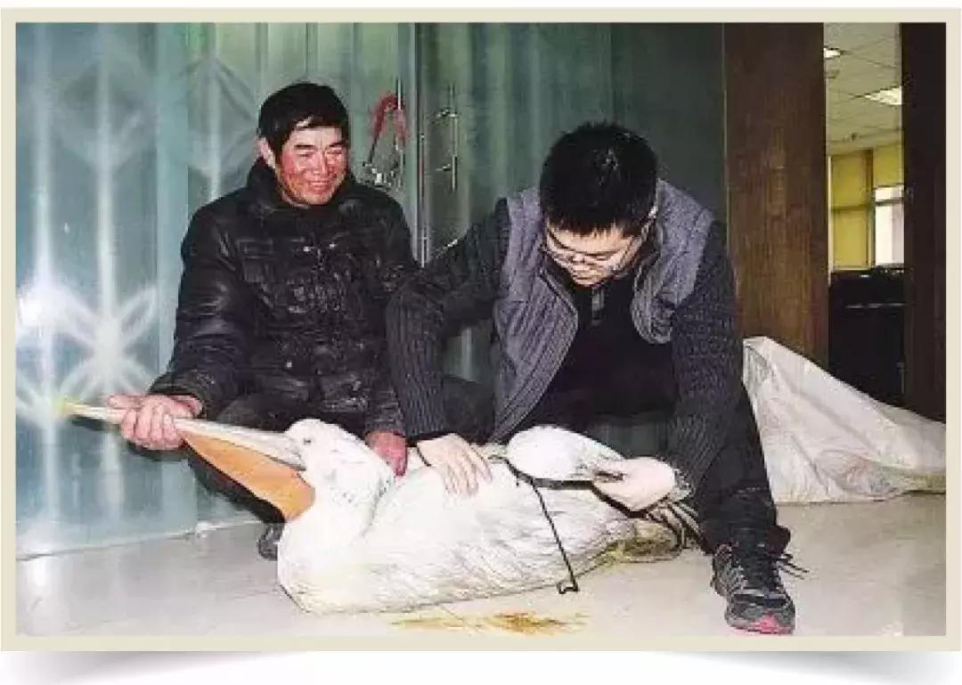 鸟界广东人，没什么是它不敢吃的……