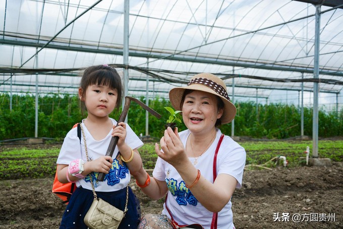 这个夏日，看这个美女如何在浙江乌村的第一百种玩法