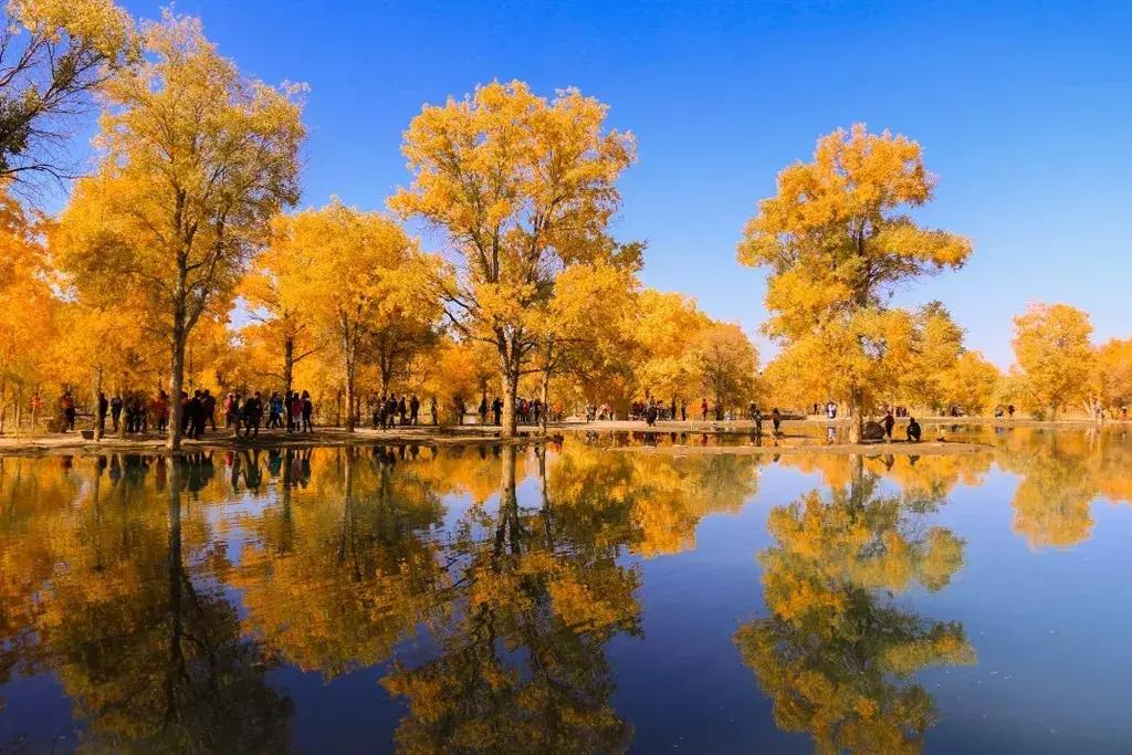 北疆的美完整版,北疆的景最美