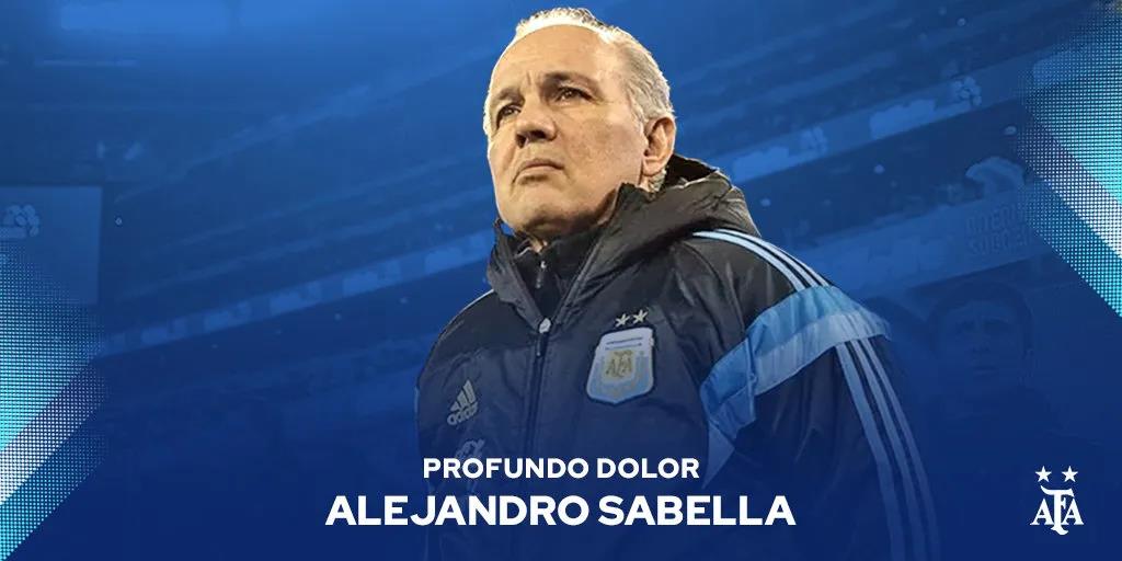 告别教练,永别了老师