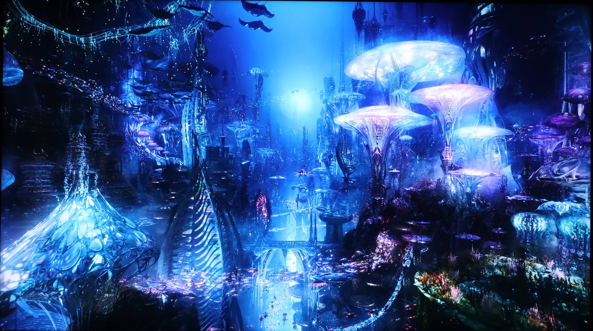 索尼电视x91j,索尼x91j电视机怎么样