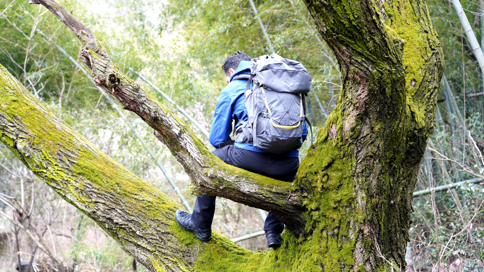 沙乐华户外鞋评测,沙乐华鞋子基础款