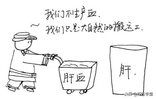 中医12经络挂图,漫画中医经络图典