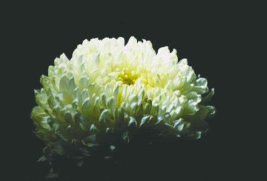 丧葬文化背后的哲学生死观,事死如生的殡葬观念