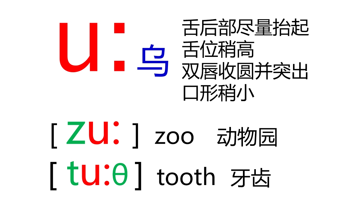 48张国际音标卡片大号,音标48个卡片