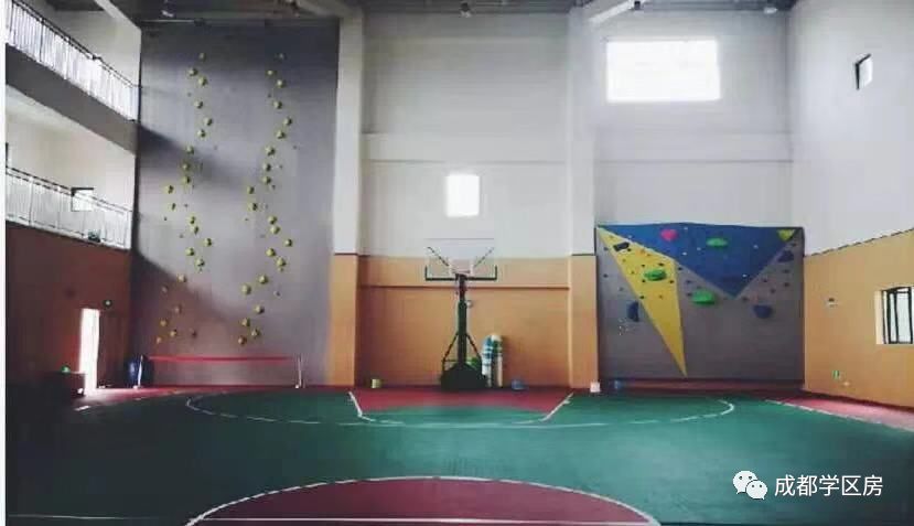 天府新区第五小学排名,天府新区a区学区房