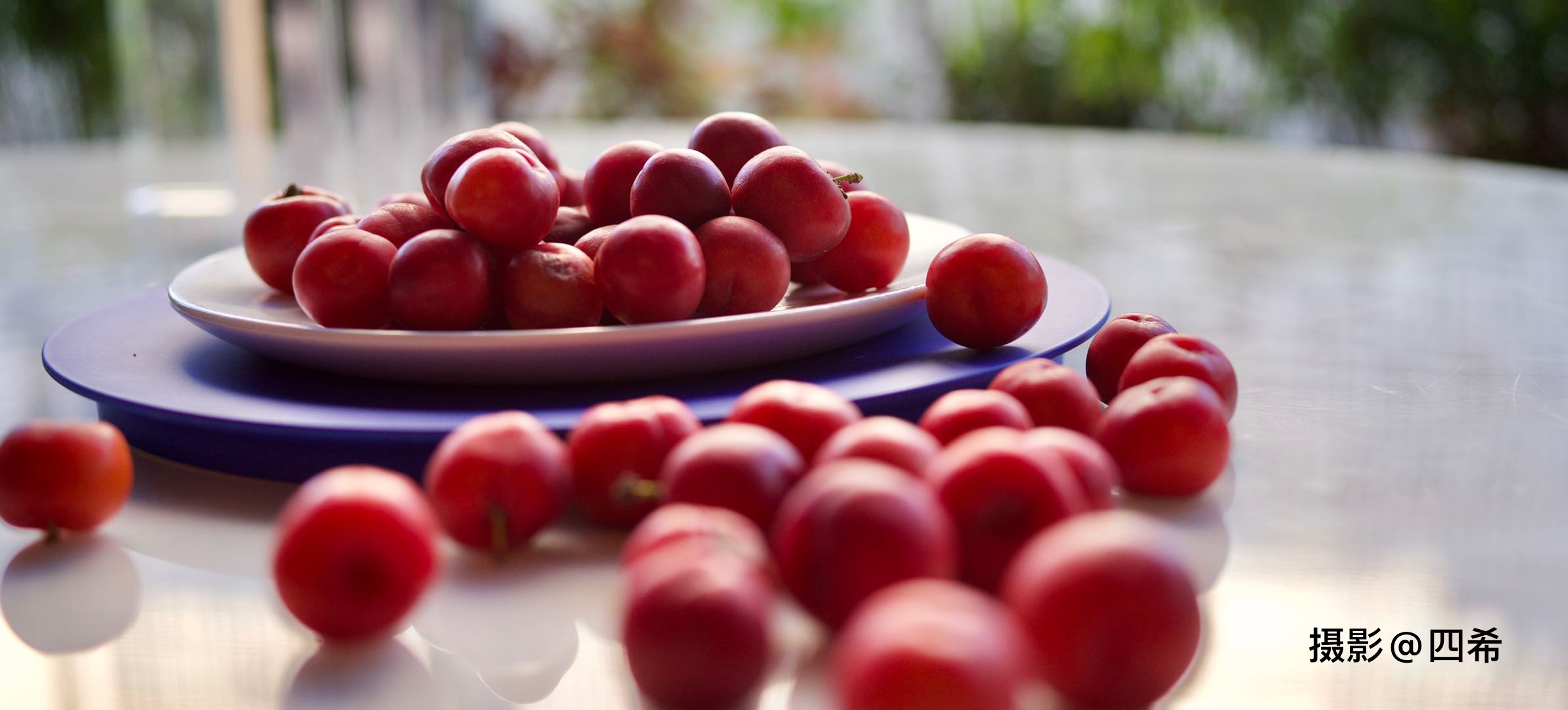 欧丽娟,欧李钙果