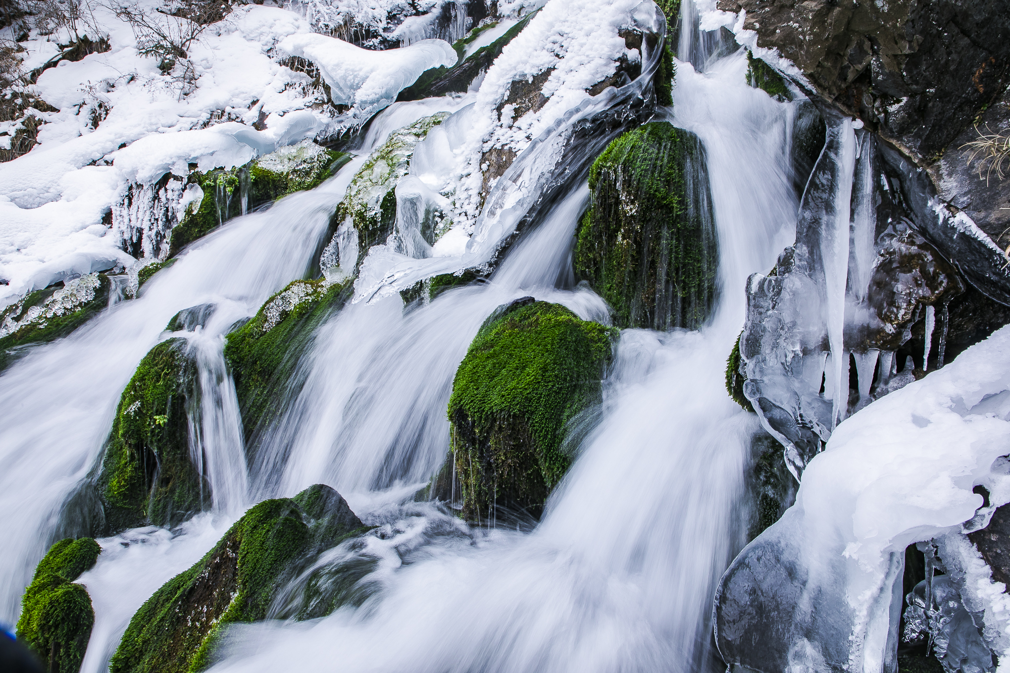 大美新疆博格达峰美景,天山天池博格达峰全景图片