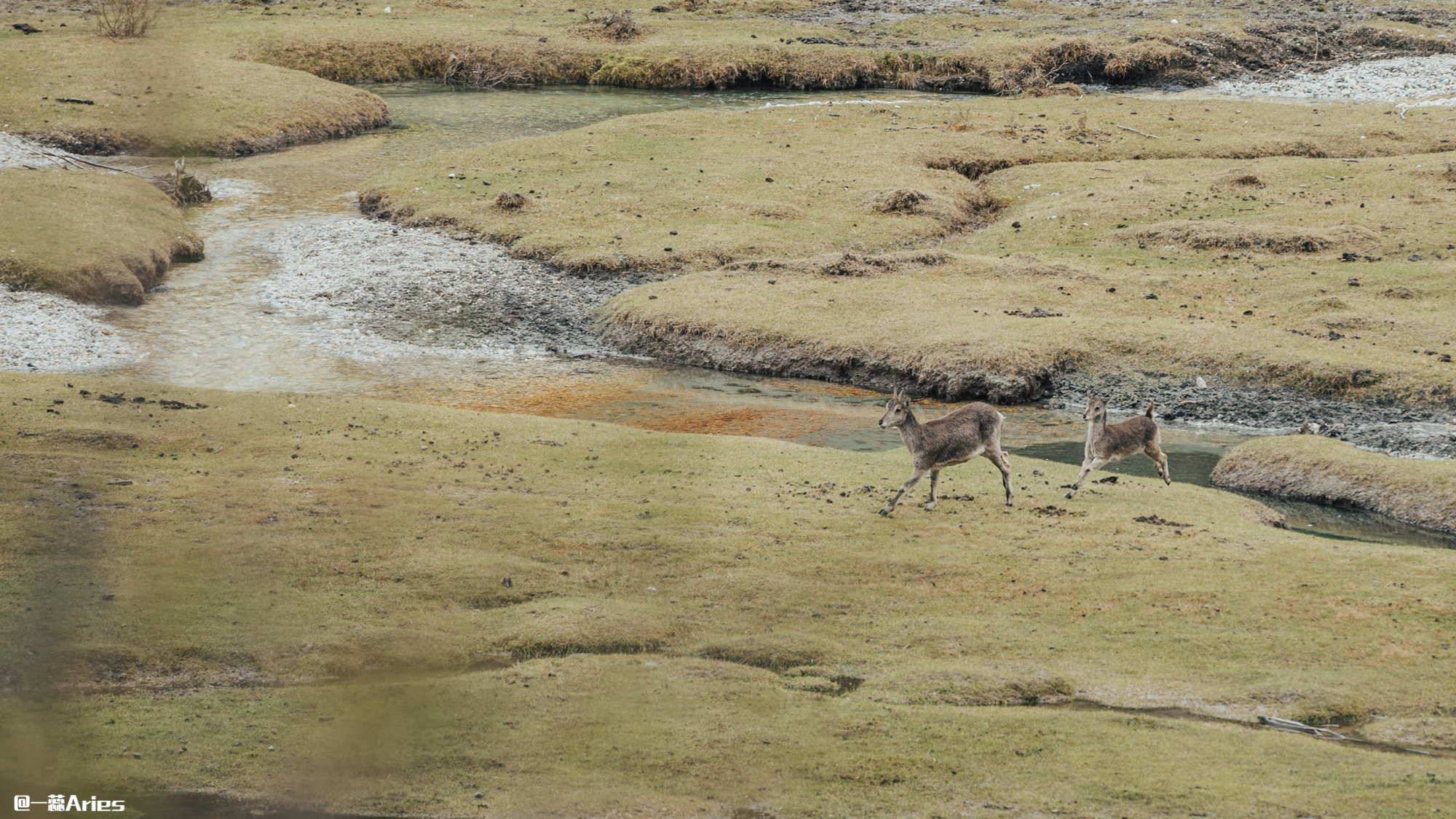 稻城亚丁8月自驾游攻略8天,稻城亚丁7月份雨季