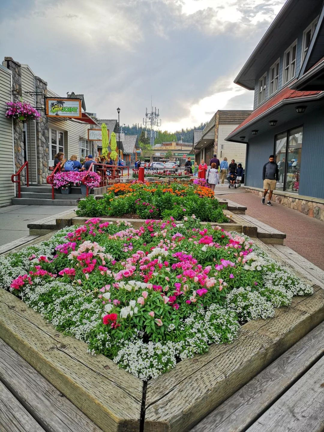 怎么在加拿大居住,怎么在加拿大生活挣钱