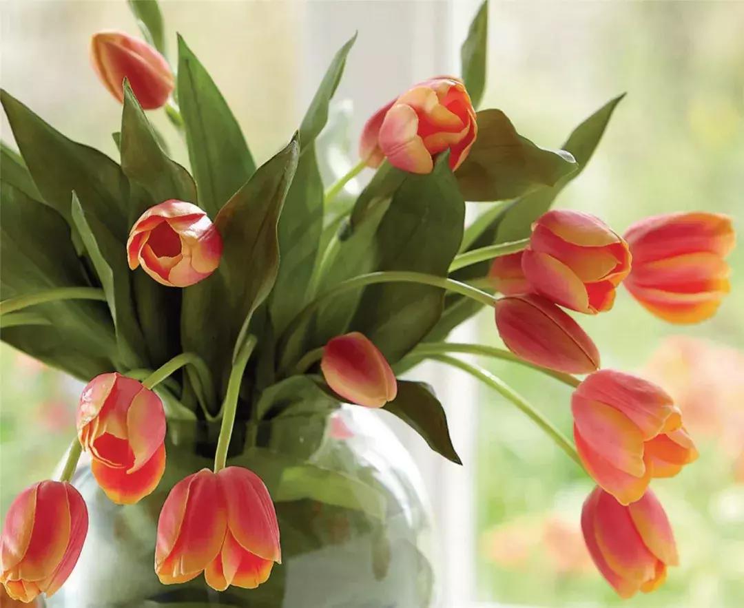 潘通色卡2020电子版色号对照表,潘通色卡历年流行色