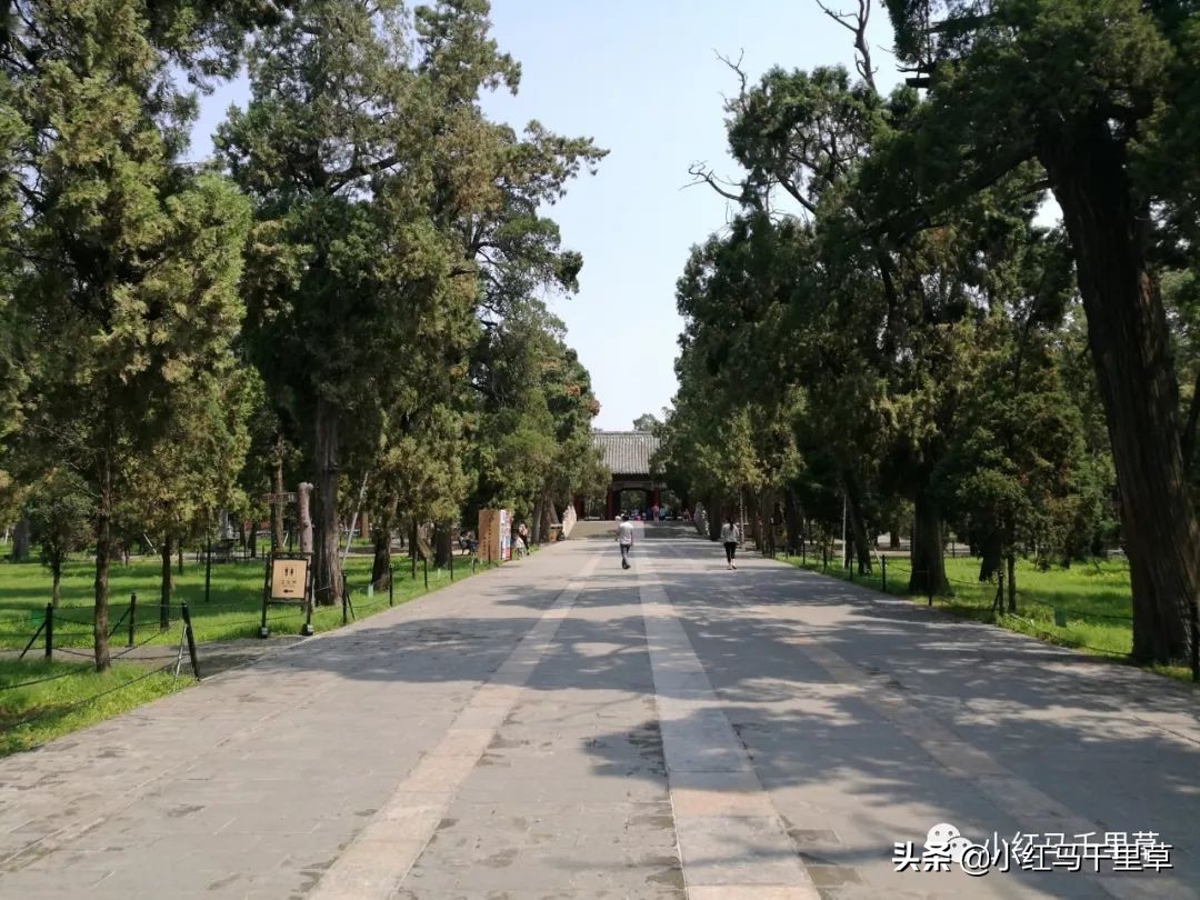 曲阜孔府孔庙孔林历史背景,曲阜孔府孔庙孔林一游