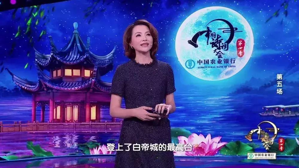 中国诗词大会董卿作文素材,中国诗词大会第四季董卿经典语录