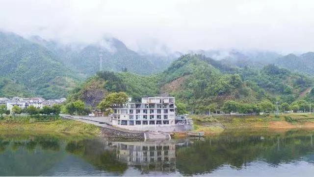 “blingbling”,黄得可爱的橘子可以从8月摘到来年2月!淳安中联村:临湖民宿处女地,甜甜蜜蜜看湖景