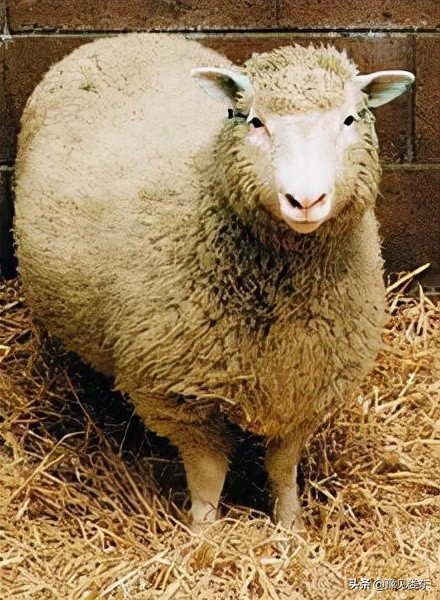 历史上的8月14日都发生了什么,历史上11月8日都发生了什么