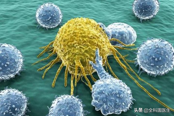 生物免疫细胞治疗癌症,生物免疫治疗癌症有效果吗