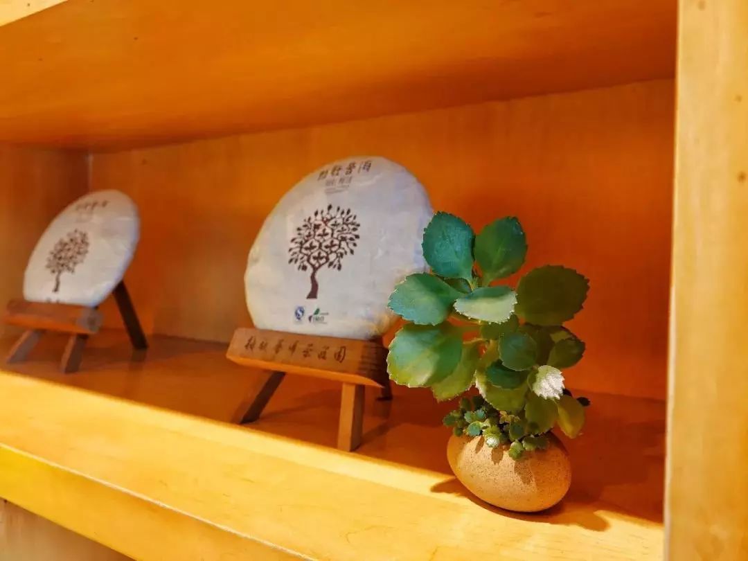 十里春风，不如一盏春茶