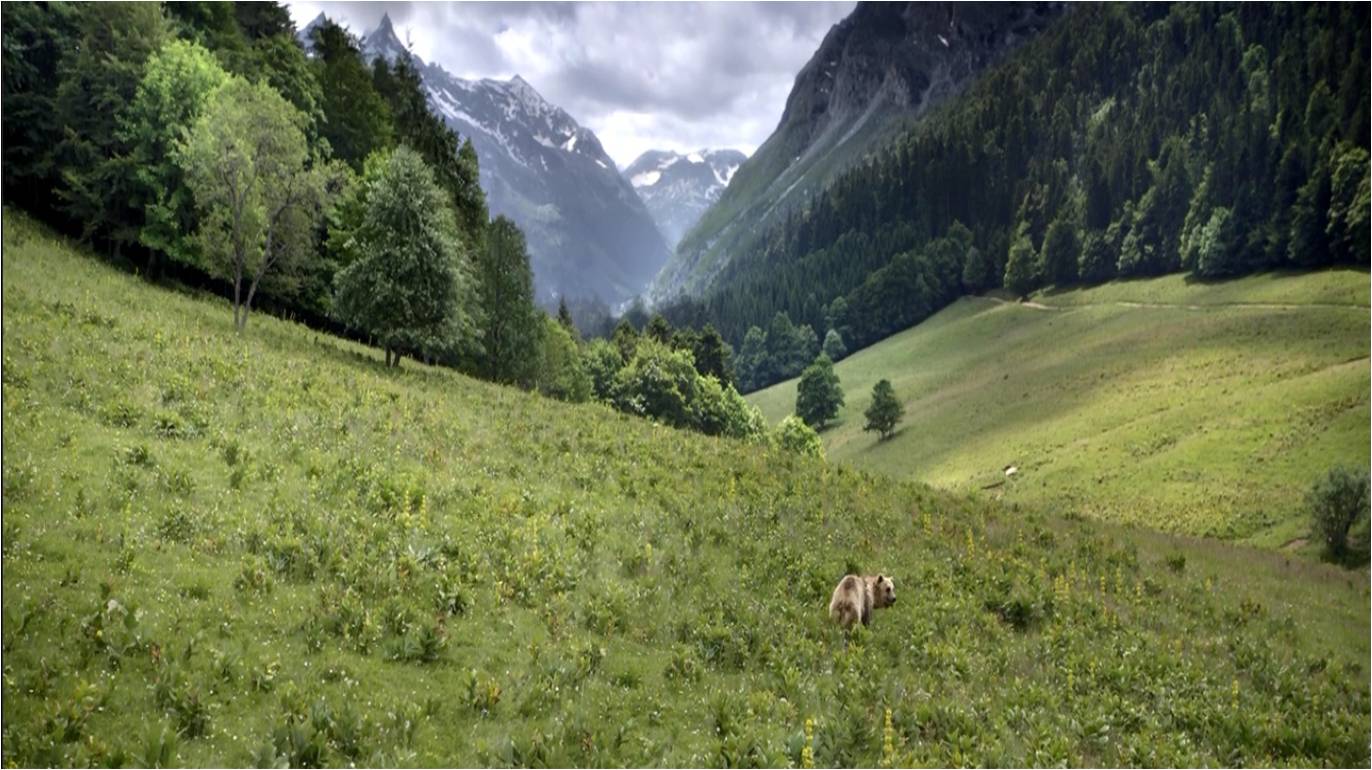观赏地球的壮丽景观,看地球四季变换的视频