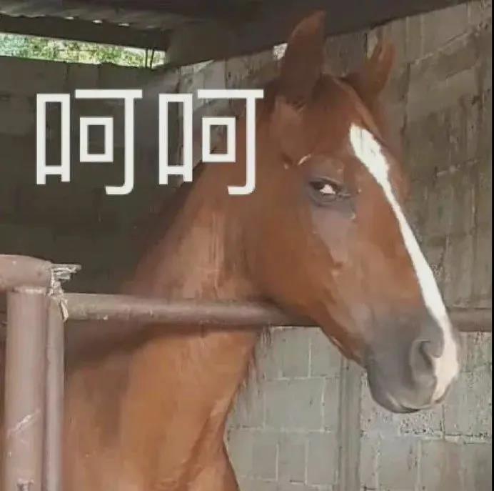 浜掕仈缃戝叕鍙搁绻佹崲logo,涓轰粈涔堜簰鑱旂綉澶у巶灞℃崲宀椾綅