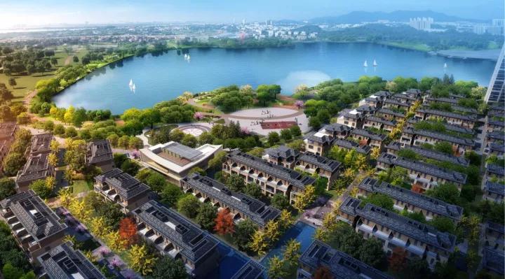 鹤山华南附小,鹤山华师附小最新消息