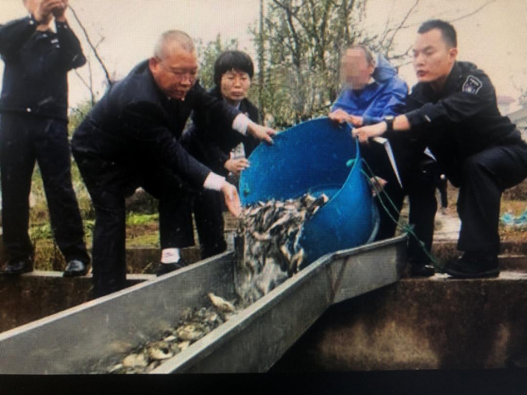 最高检长江经济带典型案例第三批,上海长江经济带