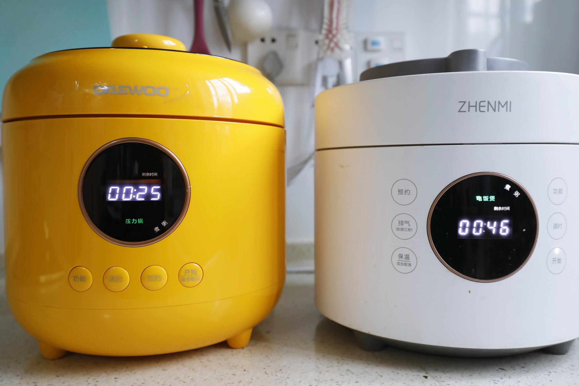 蒸煮两用电压力锅哪个牌子好,家用压力锅和微压锅哪个好