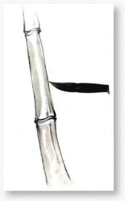 国画基础教程竹子的画法,竹子国画画法教程