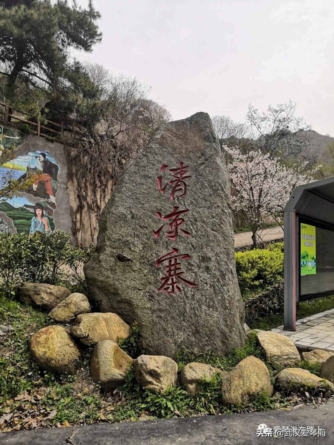 清凉寨樱花烂漫,清凉寨野景