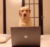 dnf以前vs现在,dnf曾经大佬现状