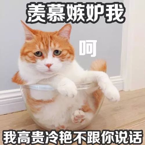 年前立下的flag你做到了吗,之前立的flag现在实现了吗