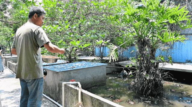 奶奶做豆沙糕视频,奶奶做巧克力奶茶