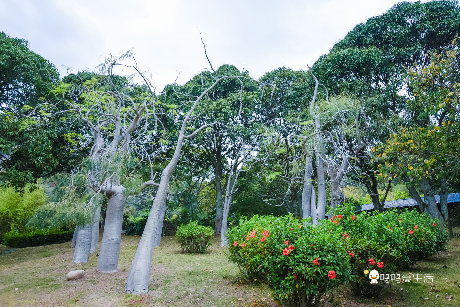 旅行厦门海悦山庄攻略,五一来厦门旅游