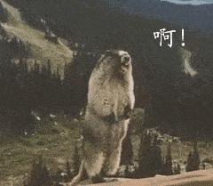 大学宿舍夏天限电吗,大学宿舍为何限电