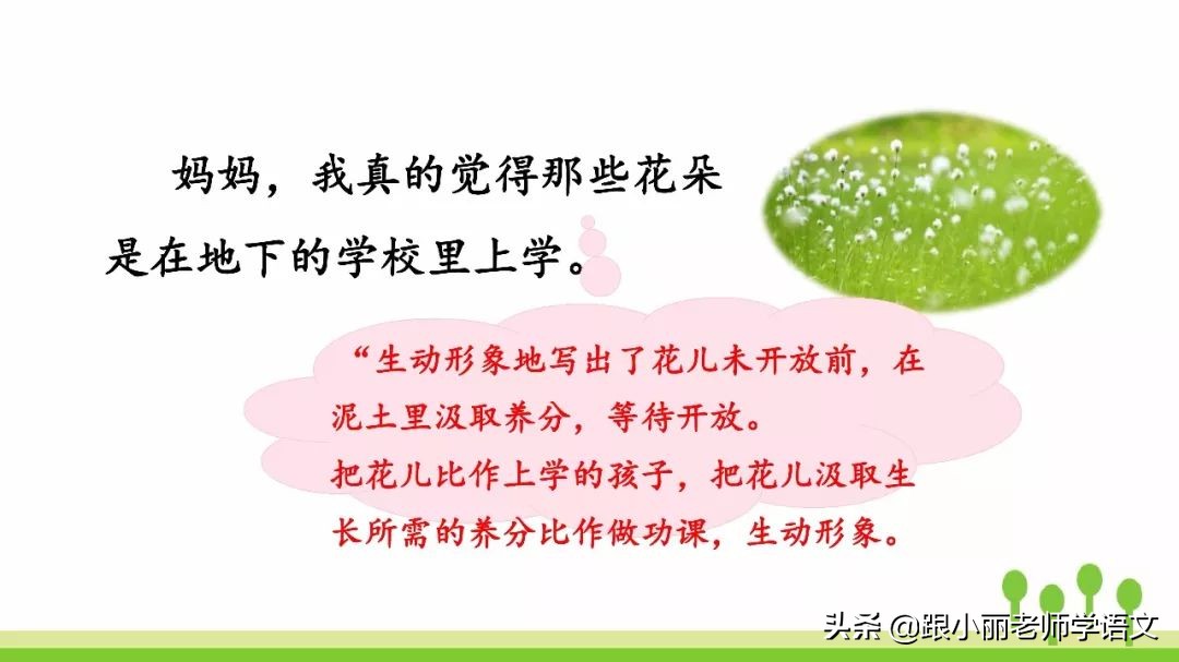 赶紧替孩子保存，复习一定用得上，三上《花的学校》知识点梳理