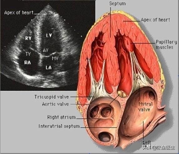 感觉心脏不好基本检查有哪些,总感觉心脏有病还检查不出来