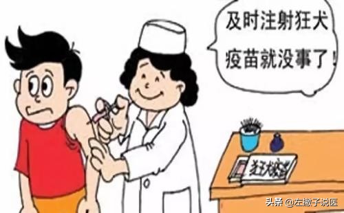 被狗狗咬了要打疫苗吗,被狗狗咬了一定要去打针吗