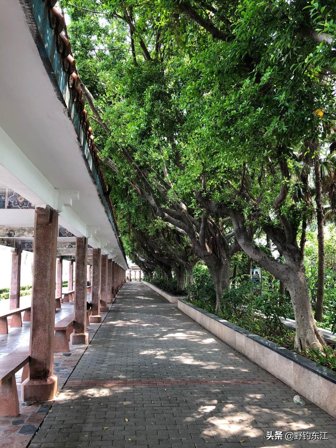 鱼竿和我的匆匆那年