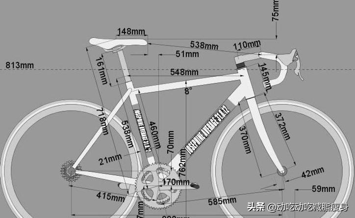 上班族适合骑什么自行车,山地骑行和公路骑行