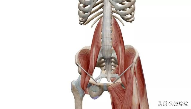 咯噔怎么治疗,髋关节咯噔响是股骨头坏死吗