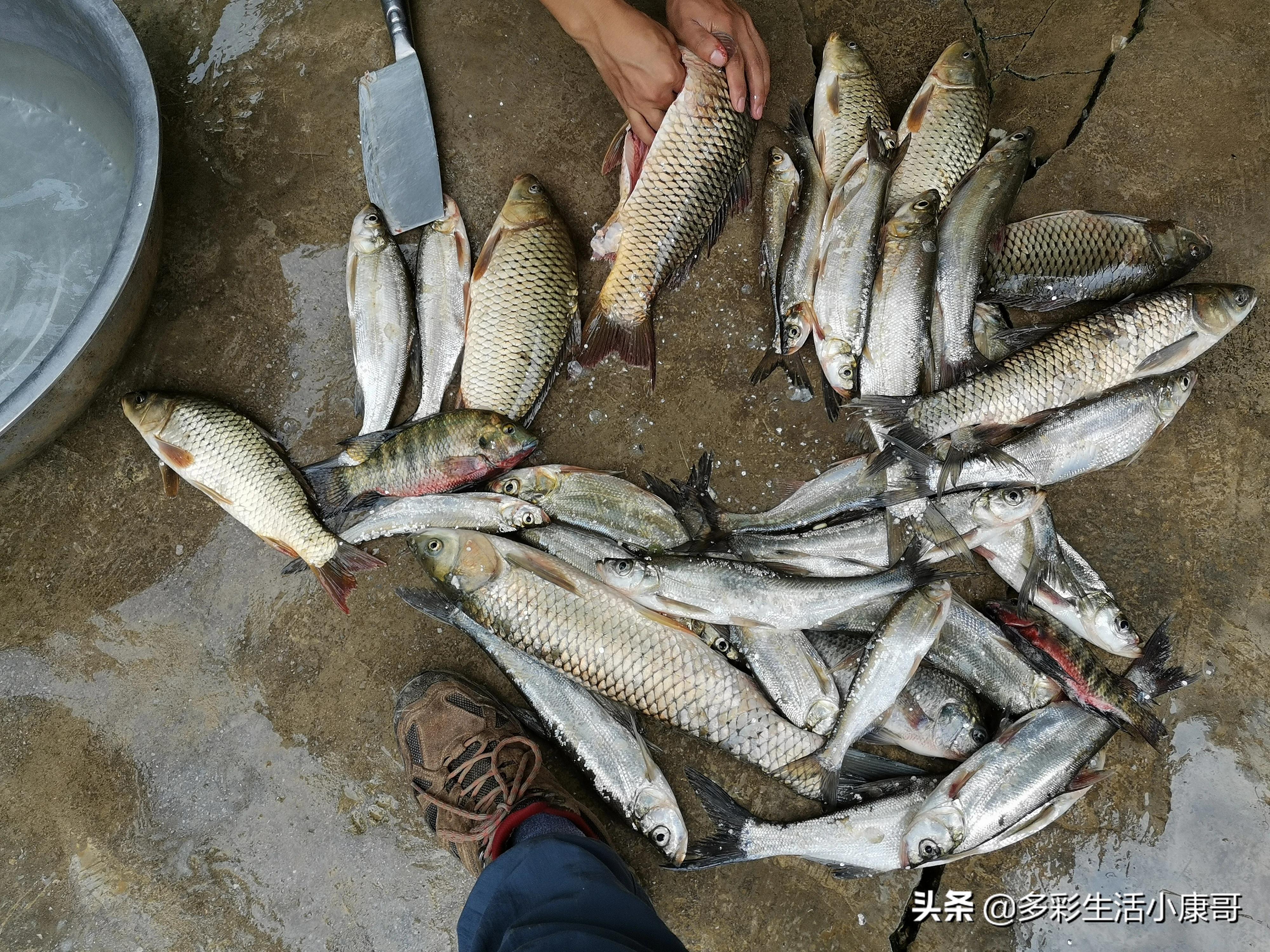 距昆明300公里的垂钓天堂,距离云南近的万峰湖野钓地点推荐