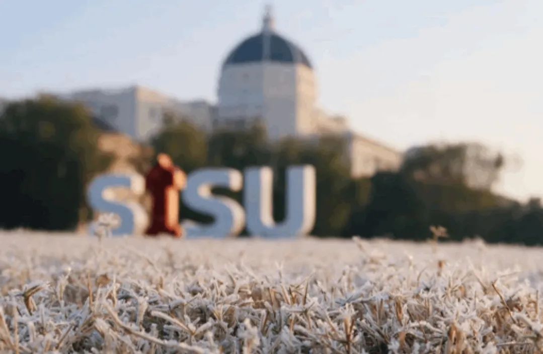 外国语大学本科招生简章,上海外国语大学2022年录取分数线