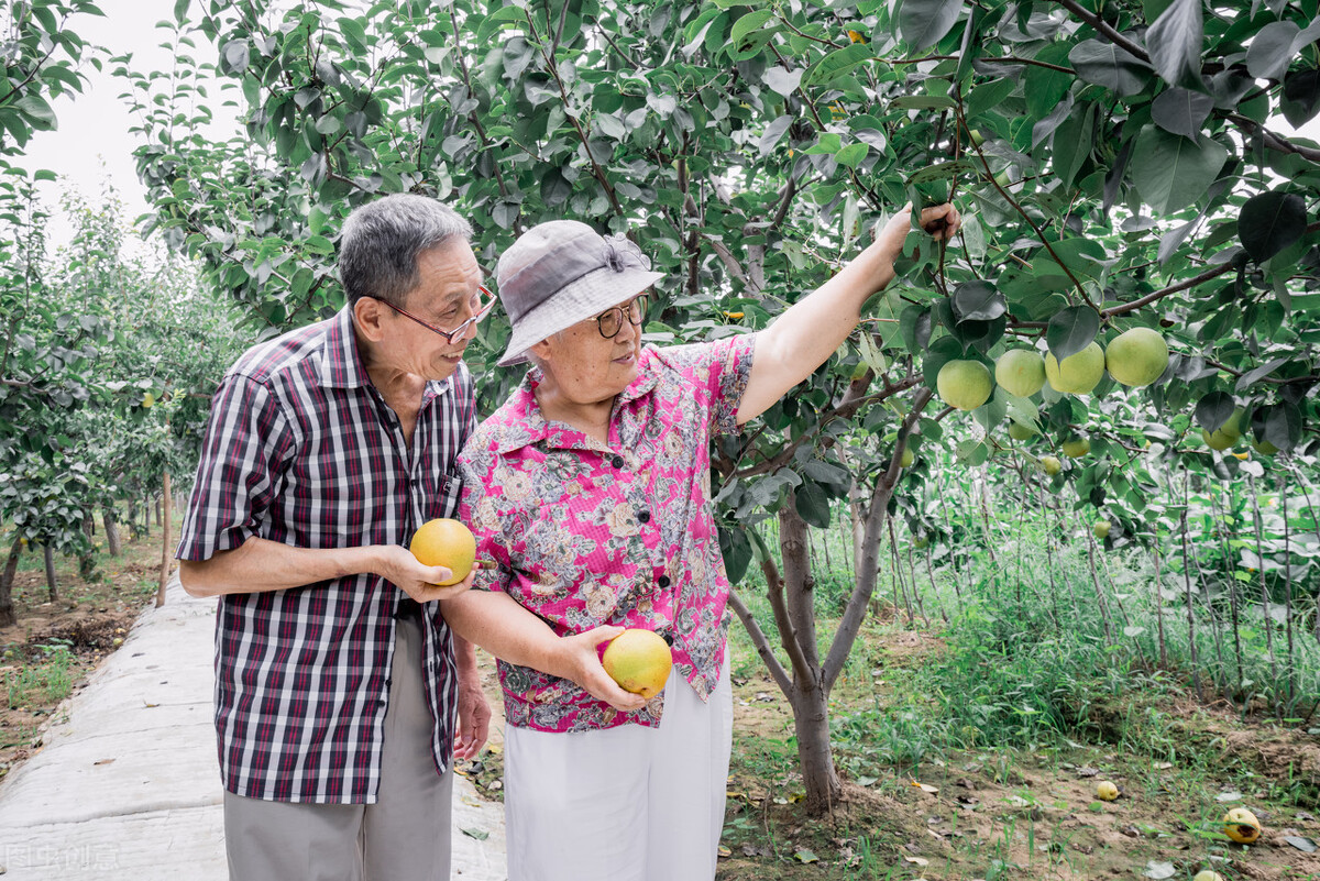 60岁大妈与男友相恋十年未果,60岁大妈与男友相恋