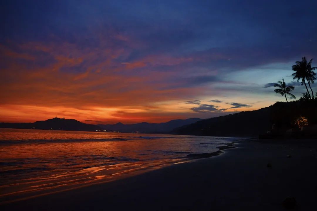 这可能是全球性价比最高的一家阿丽拉