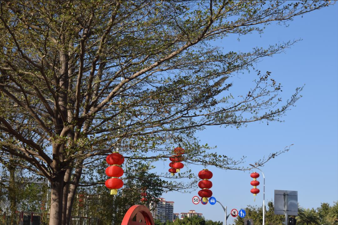 与春天撞个满怀的意思是什么,在棠梨湖公园邂逅春天