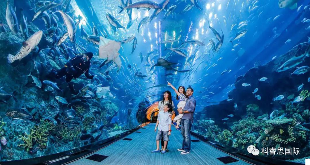 在一起做有趣的事,跟孩子去迪拜旅行