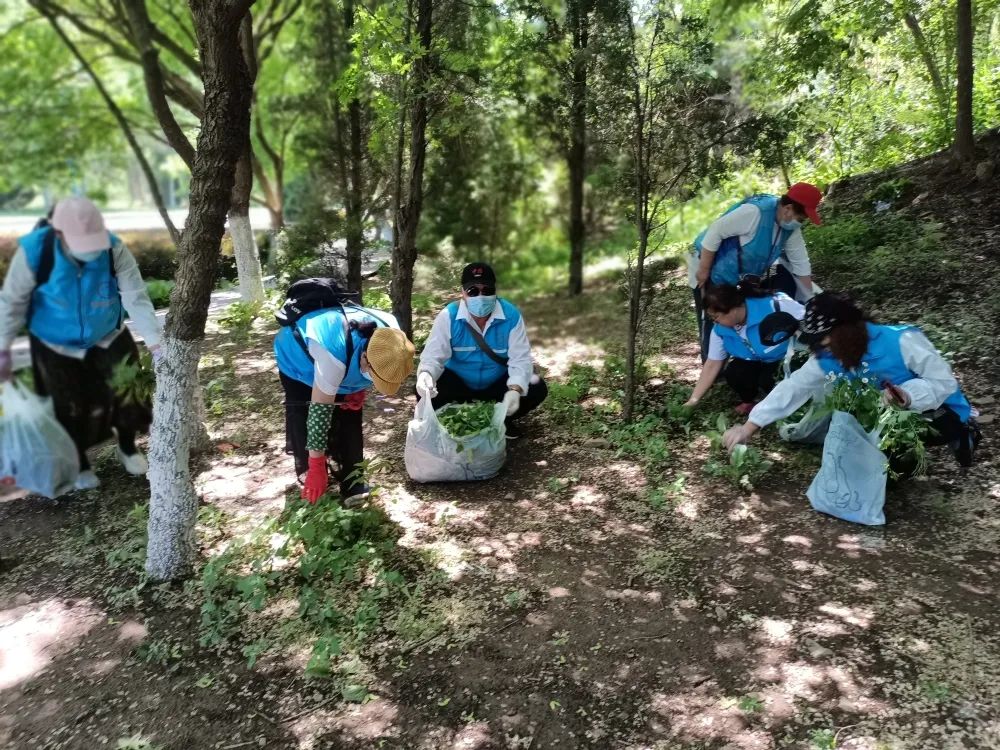 城市文明旅游,文明旅游才是最美的风景