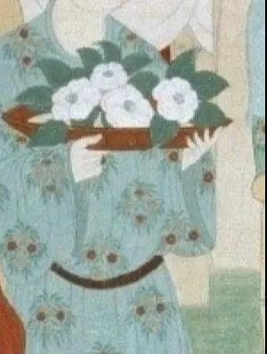 林草科普宣传视频,林草科普视频