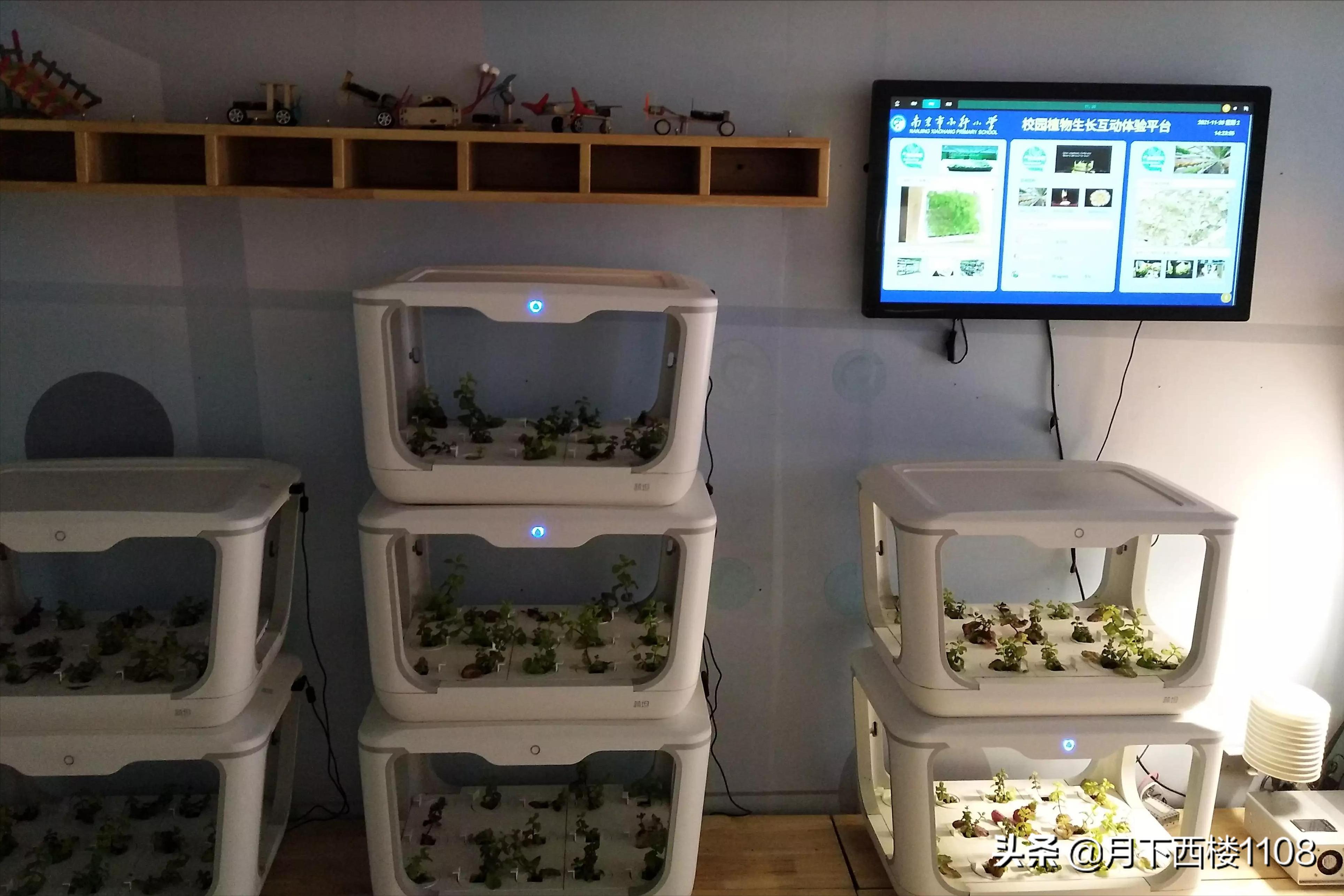 南京十所百年名校,南京的六大名校