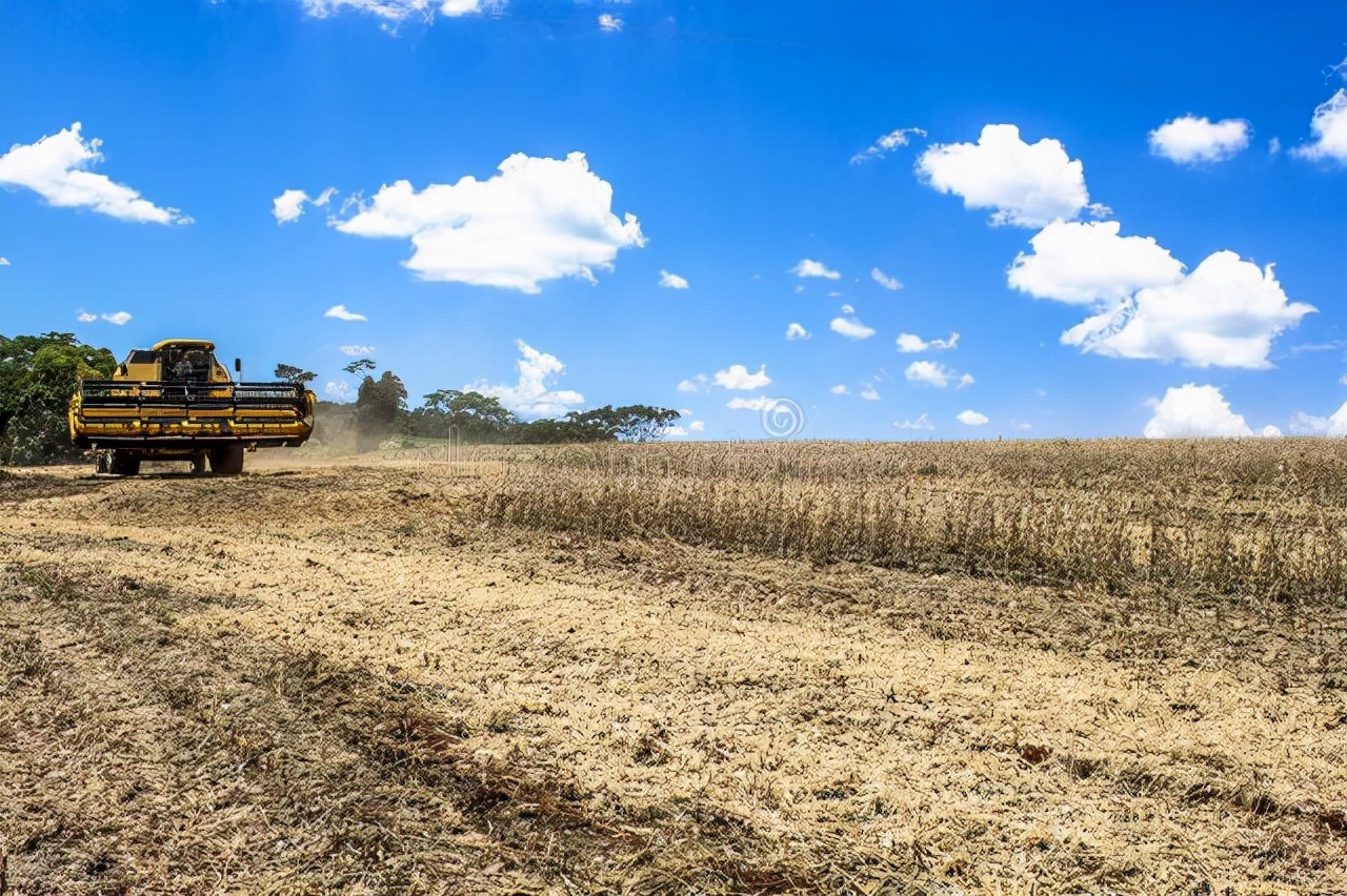 把美国转基因大豆运往我国，利润每吨多了500元？消费者如何识别